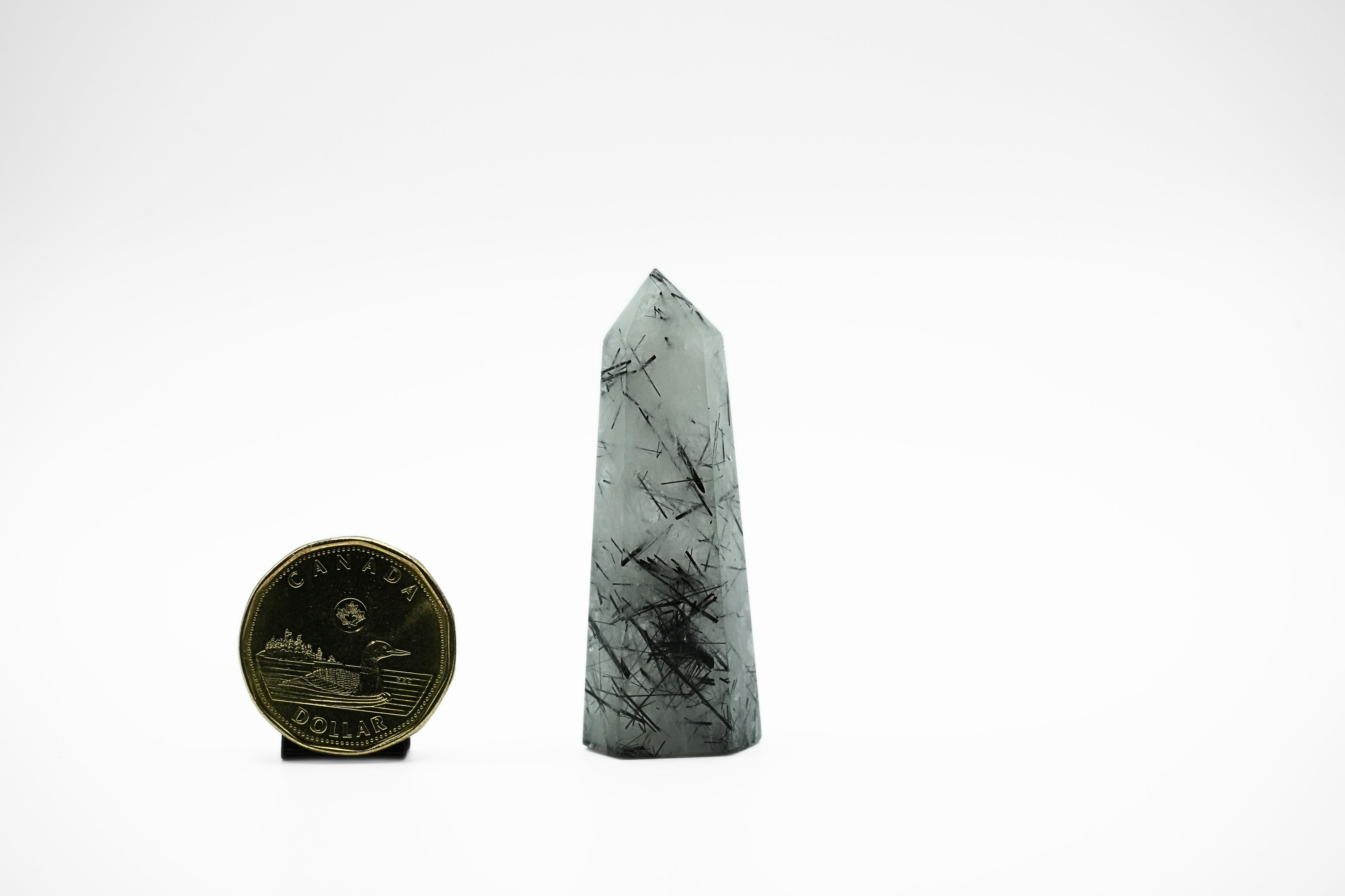 Black Tourmaline in Quartz