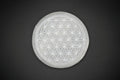 Small Selenite Charging Plates - Flower Of Life