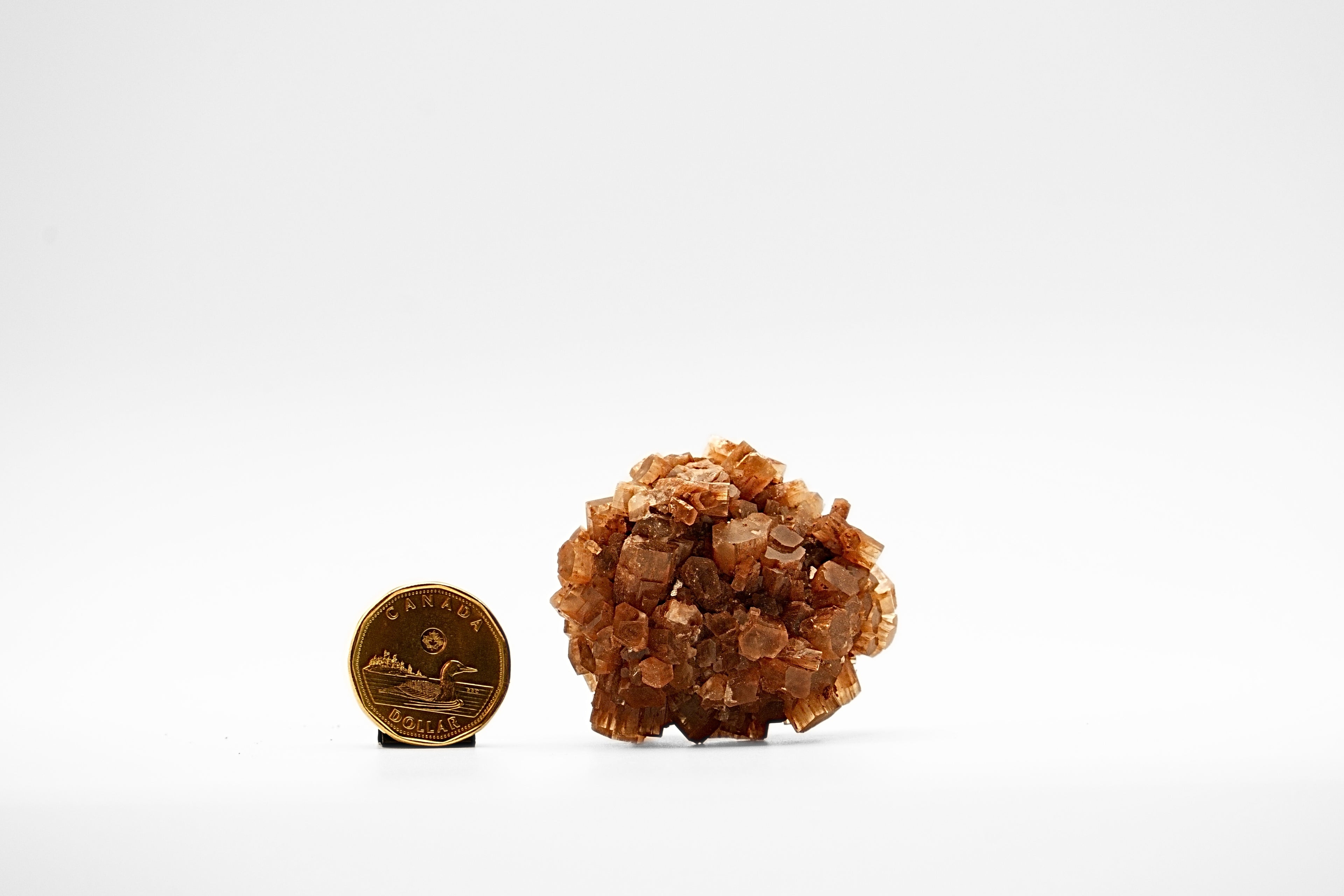 Aragonite Star Cluster