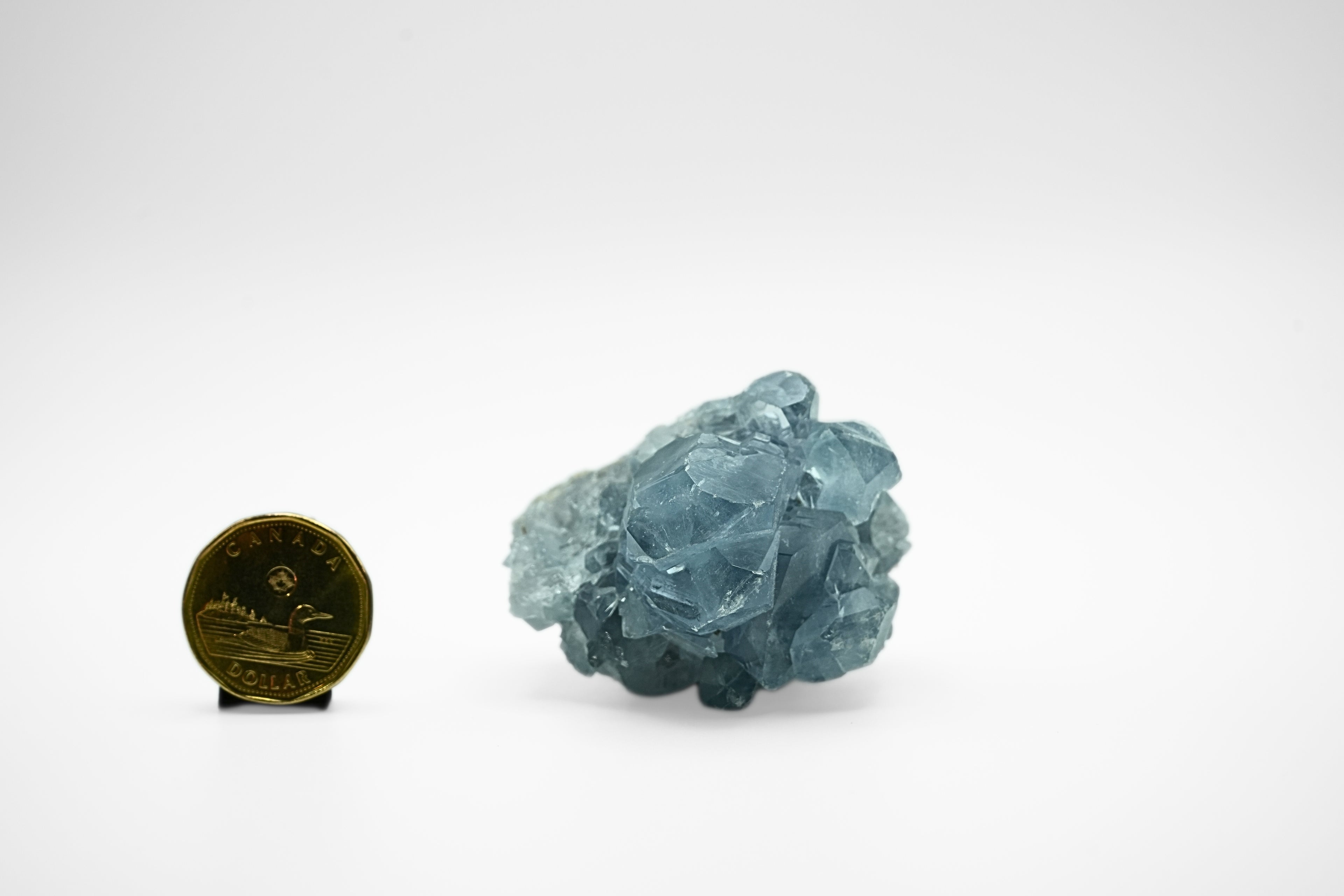 Celestite Cluster