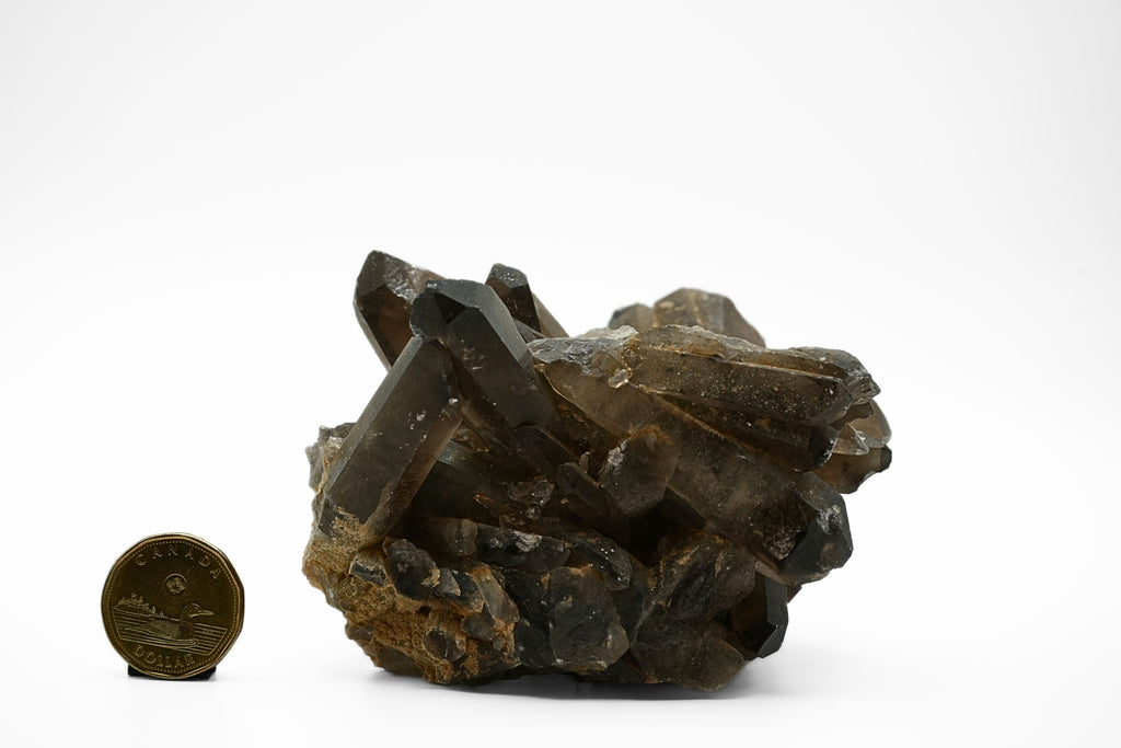 Smokey Quartz Cluster - AA Quality