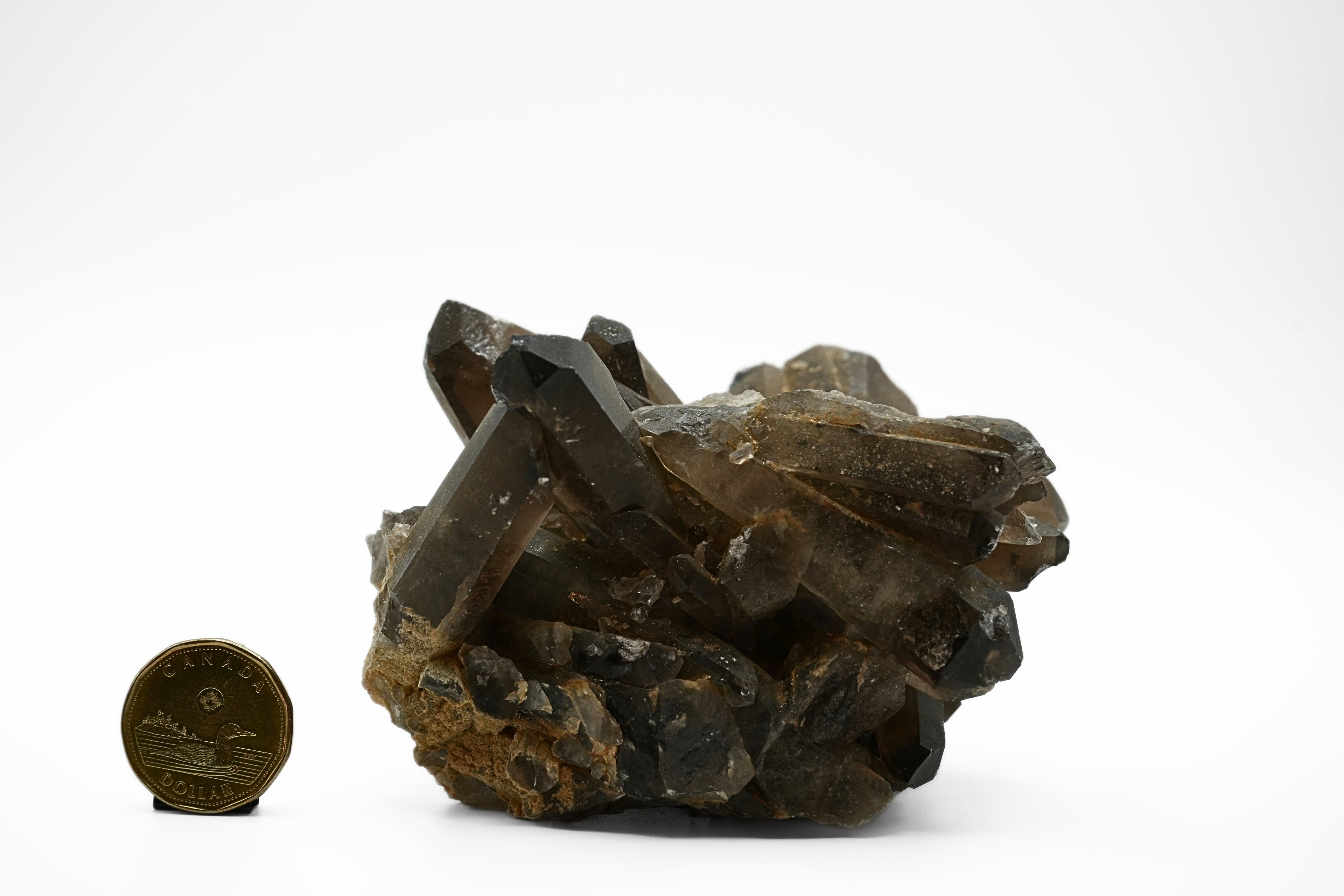 Smokey Quartz Cluster - AA Quality