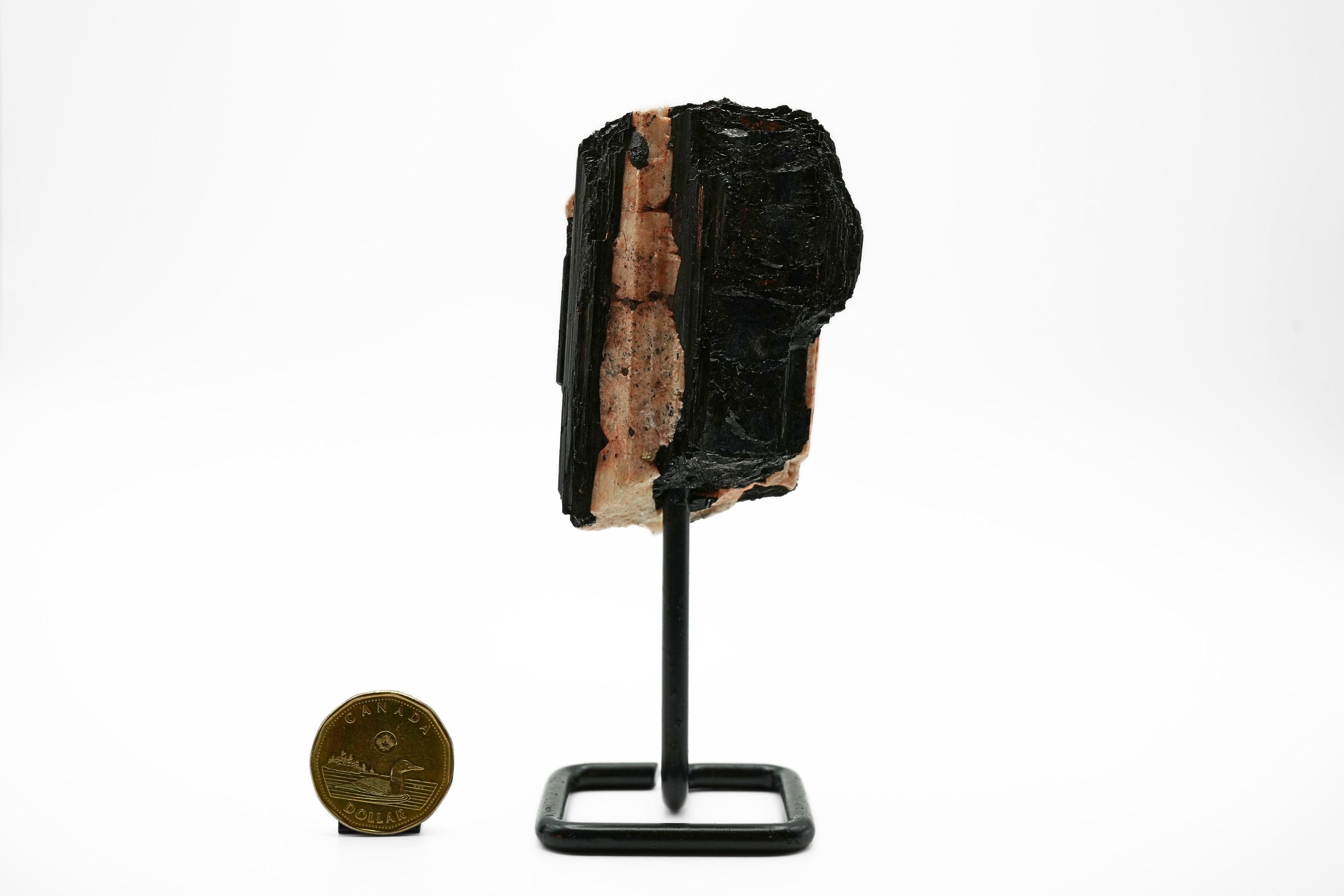 Black Tourmaline Matrix on Feldspar