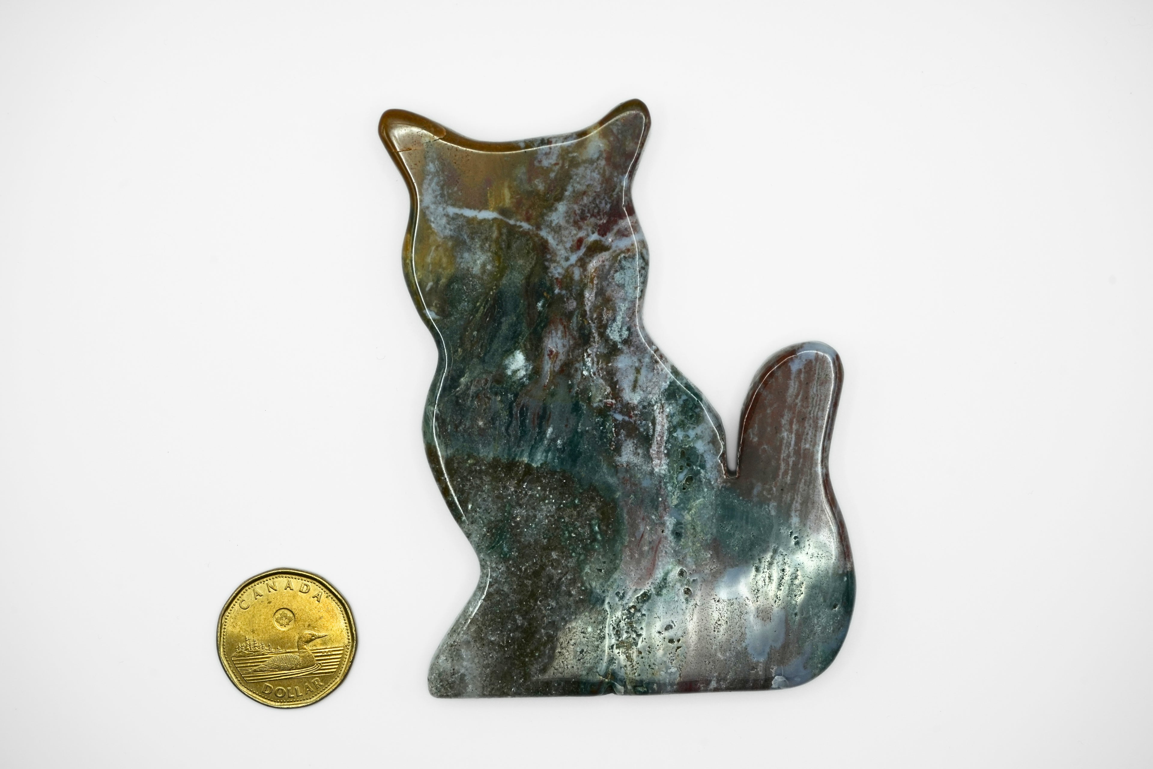 Ocean Jasper Cat