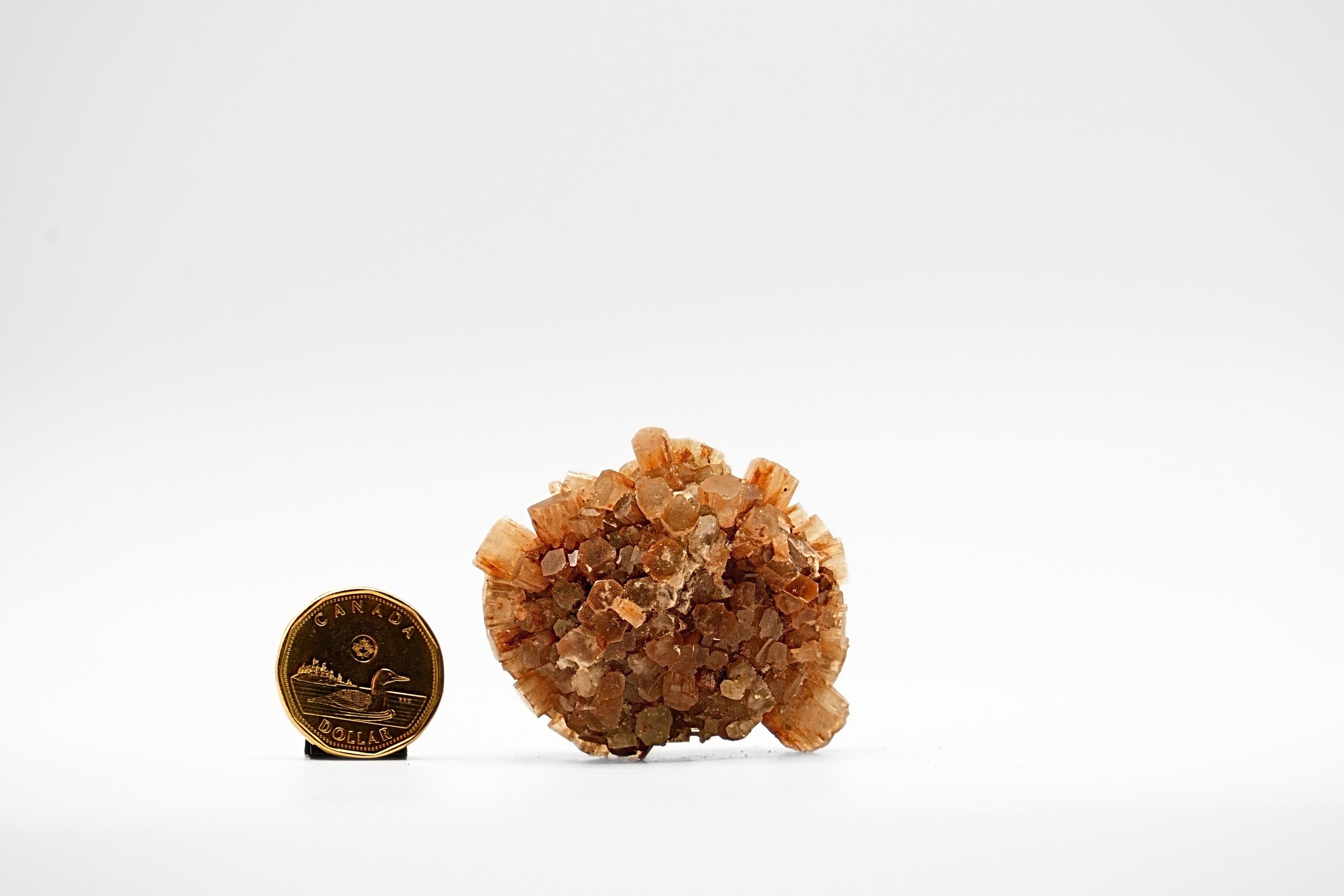 Aragonite Star Cluster